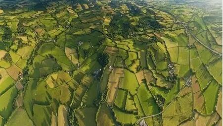 明年东莞构建农用地土壤环境质量基础数据库