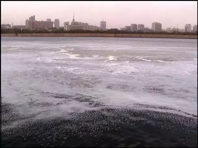 中国严重污染七大河流 89%的饮用水不合格