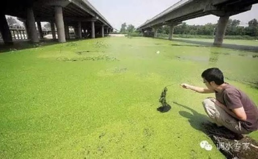 水质检测送样需知