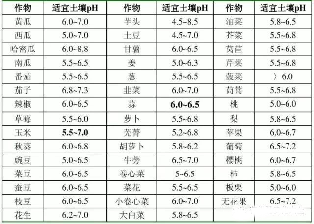 http://www.365editor.com/weixin/mmbiz_jpg/QfRnJP1AzcibEAUrJrW061T9ShIvlkZSzGhDHahH2fSad9XHEMDX5K7mJIPR5o9BAXXhl2G9eiciaCV9b6HX1pgpg/640