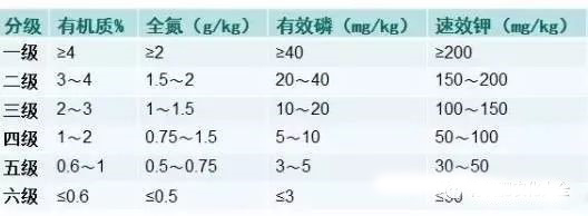 http://www.365editor.com/weixin/mmbiz_jpg/QfRnJP1AzcibEAUrJrW061T9ShIvlkZSzPBJzHEiaN6UR9icuJZO4YjjxxjWsEDmicmMPqxicSnwnf4kMicianuhM7SgQ/640